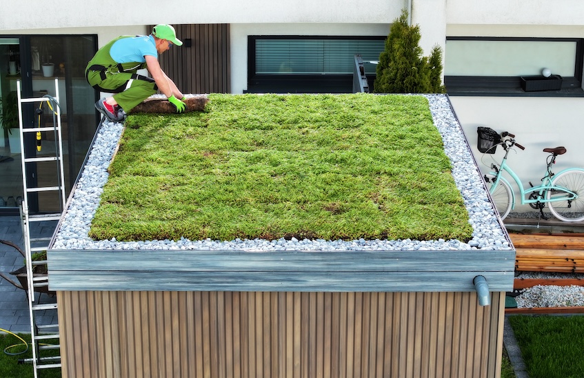 Grüne Dächer und Fassaden sind auch in Städten eine sinnvolle Möglichkeit, das Mikroklima zu verbessern I Foto: EnvatoElements